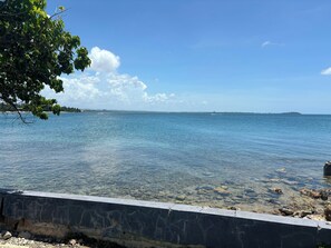 A clear view of a calm sea with a distant shoreline, a concrete barrier in the foreground, and a tree branch overhanging the water.