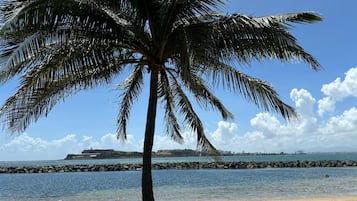 Strandlakens