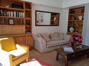 Télévision, cheminée, livres