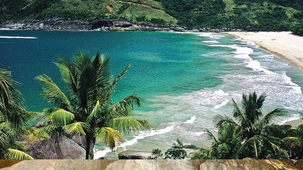 A coastal landscape with a beach, palm trees, and a rocky foreground. - Naldo Ilha Bela (Ilhabela)