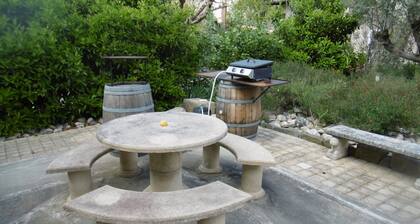 XL GARDEN APARTMENT, SLEEPS 9 IN 4 AC BEDROOMS 1K, 2Q, 2S, FRESH and SPACIOUS