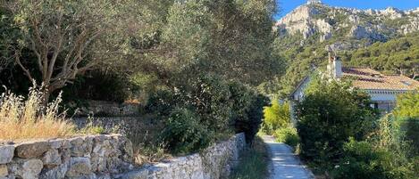 المنطقة المحيطة بالمنشأة