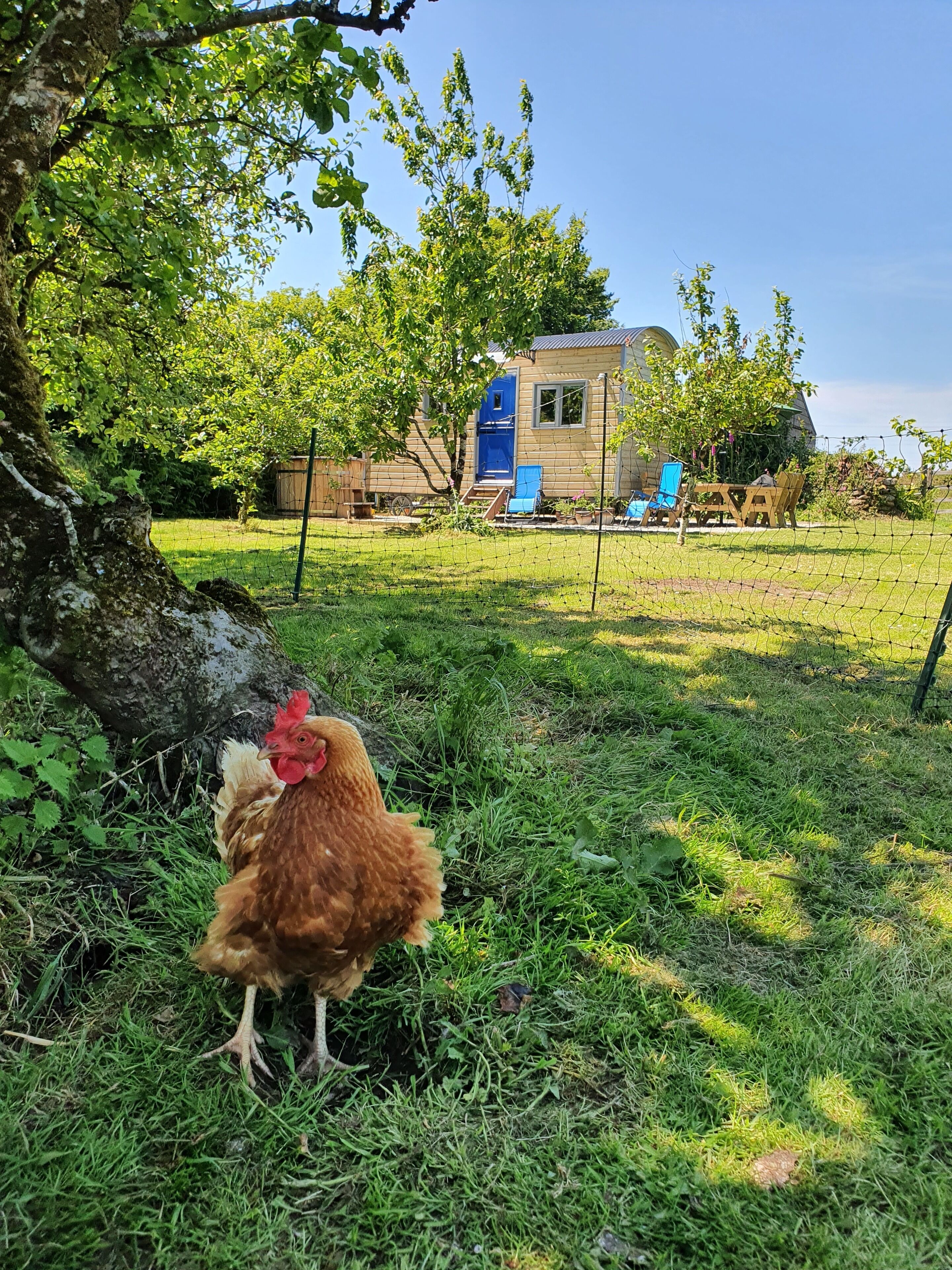 Parco della struttura