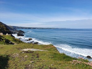 A coastal landscape with rocky cliffs, grassy areas, and a view of the sea.
