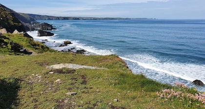 Luxury romantic shepherd's hut - hot tub and Aga