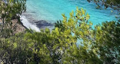 Appartement Dans Propriété Historique, Avec un Parc Avec Piscine