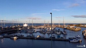 A marina with multiple boats docked, a pier, and a clear sky.