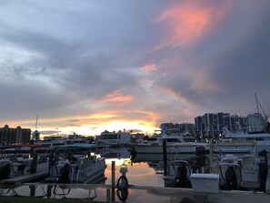 Marina