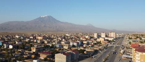A cityscape with a prominent mountain in the background.