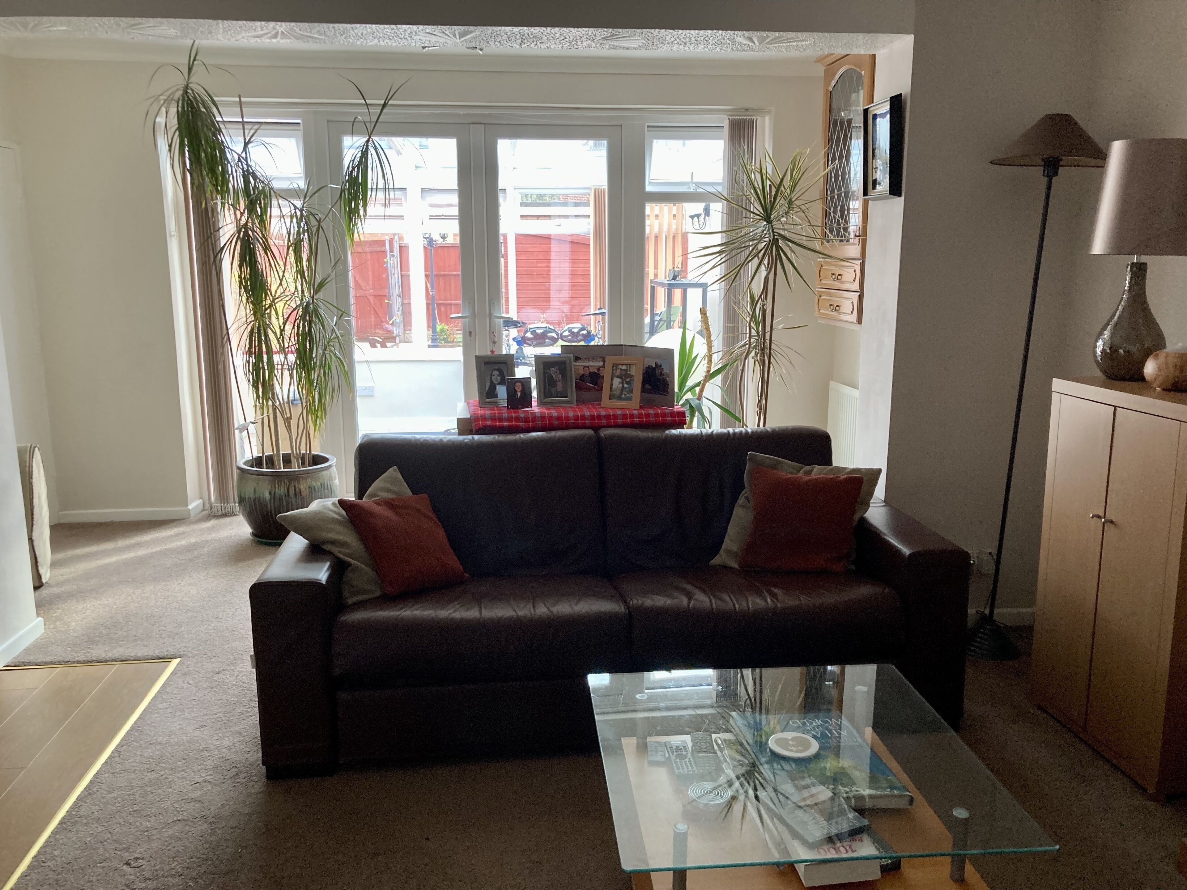 TV, DVD player, books, music library