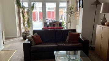 TV, DVD player, books, music library