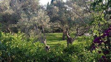 Overnatningsstedets område