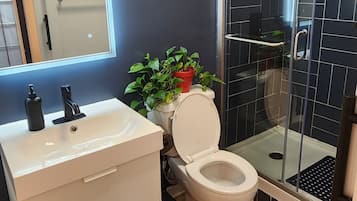 Ducha, secador de pelo, toallas, jabón