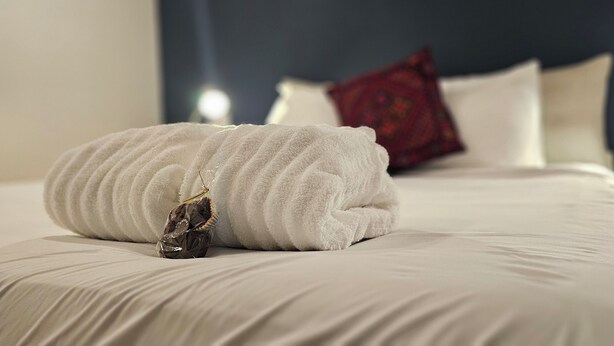 A neatly made bed with a white pillow, a red pillow, and a white blanket. There is a small bedside table with a lamp. - Hibiscus Suite - Private Studio Apartment in Rhinebeck Village (RHINEBECK)