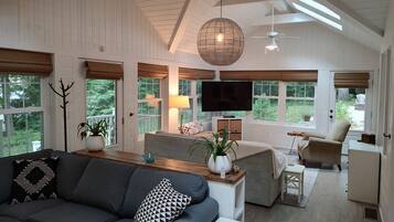 TV connectée, cheminée, livres, imprimantes