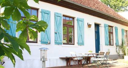 Former farmhouse with artistic ambience, sauna and whirlpool