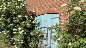 Un bâtiment en briques avec une porte bleue et un jardin où poussent des fleurs blanches.