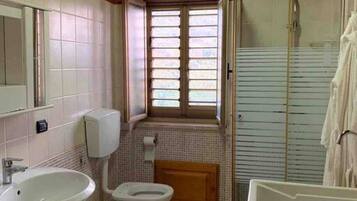 Shower, hair dryer, bidet, towels