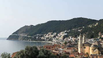 55-Zoll-Smart-TV mit Satellitenempfang, Fernseher