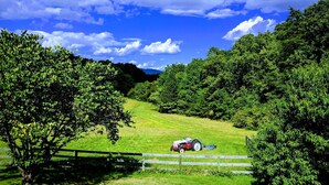 Un paysage rural avec un tracteur dans un champ herbeux, entouré d’arbres denses et d’une clôture en bois.