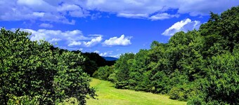 Farmhouse On 14 Acres. Close to Monticello & Ash Lawn Highland