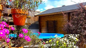 A wooden house with a blue roof, surrounded by potted plants and flowers. - Galricho Heritage House (Murtosa)