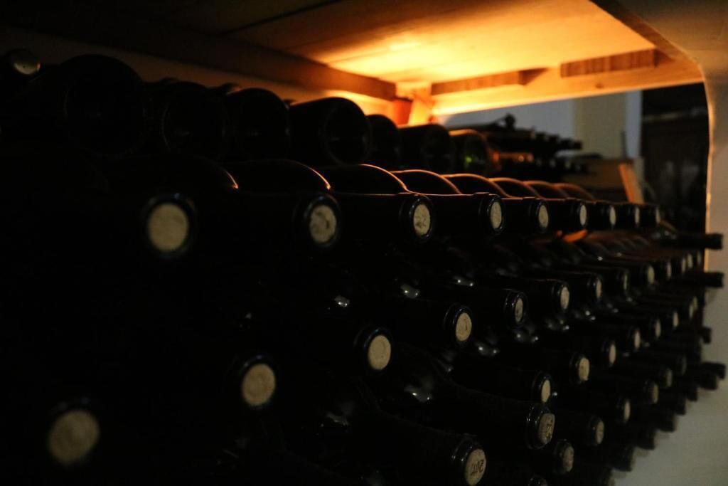 Varias botellas de vino en un área de almacenamiento tenuemente iluminada.