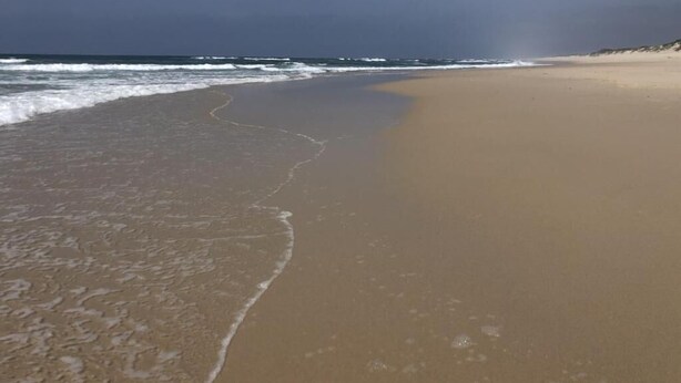 A beach with a sandy shore and waves. - Galricho Heritage House (Murtosa)