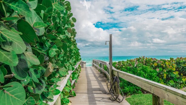 A wooden boardwalk leading to a beach, surrounded by lush greenery and a clear sky. - Ocean Front Two Bedroom Condo, Jensen Beach, FL  2869369 (Jensen Beach)
