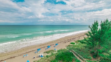 En la playa, camastros y toallas de playa 