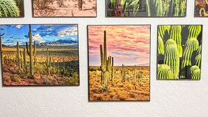 Un coin repas avec une table et des chaises en bois, entouré de six tableaux représentant des cactus accrochés au mur.