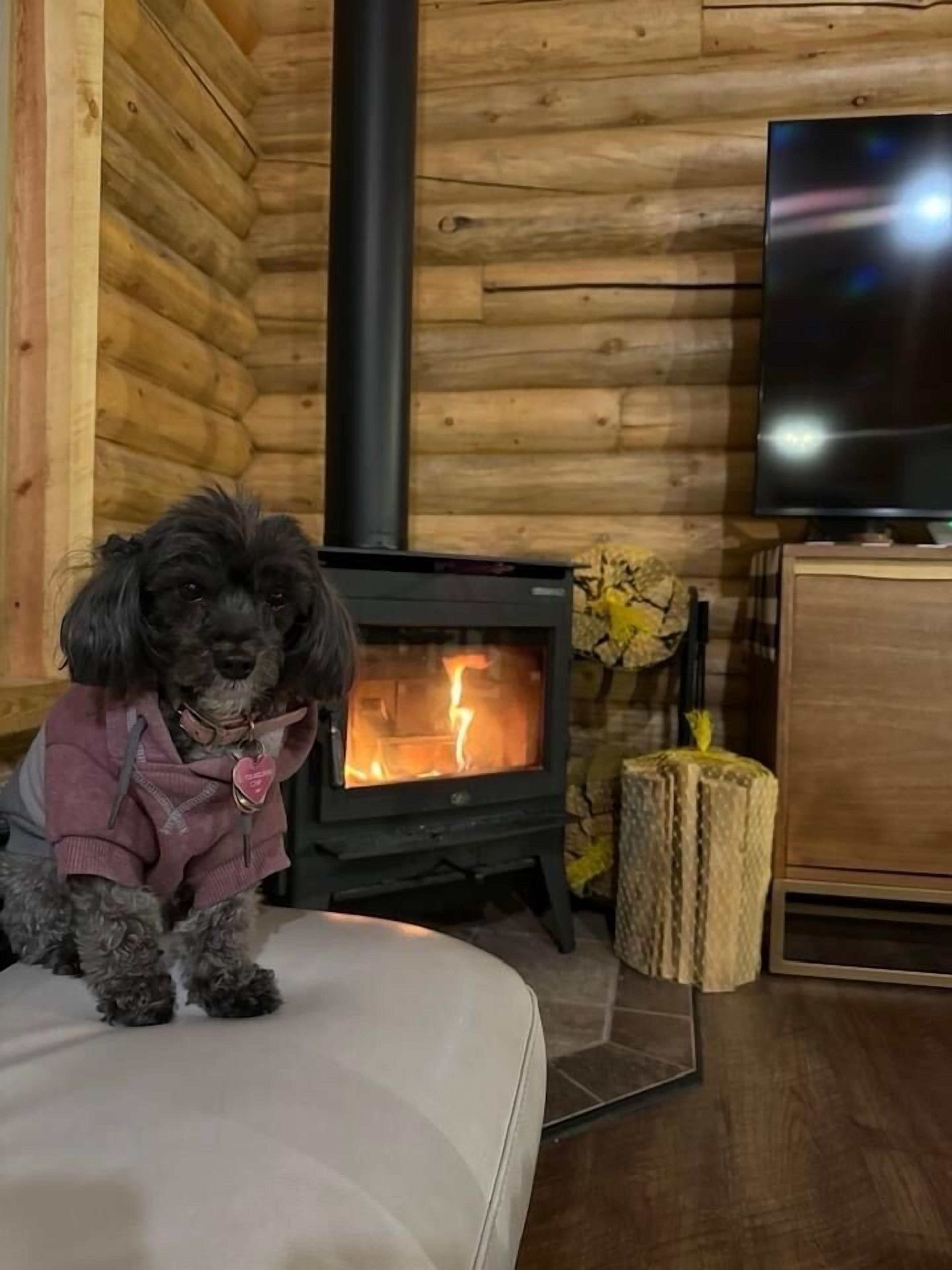 A cozy room with a wood-burning stove, a television, and a dog sitting on a couch.