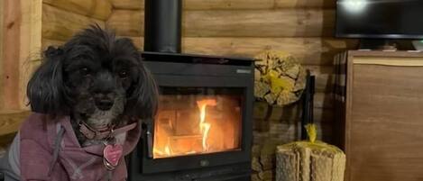 A cozy room with a wood-burning stove, a television, and a dog sitting on a couch.