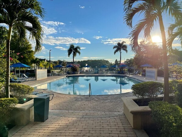 Relax by the serene pool surrounded by palm trees and lounge chairs, with umbrellas providing shade.