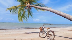 Ein Fahrrad steht auf einem sandigen Strand, eine Palmenliege spannt sich über das Wasser.