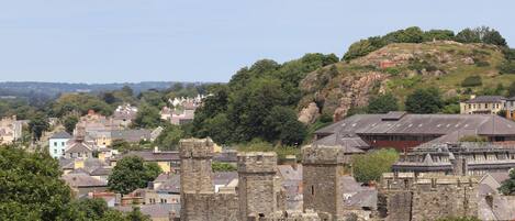 A historic stone castle with multiple towers, surrounded by residential buildings and lush greenery.
