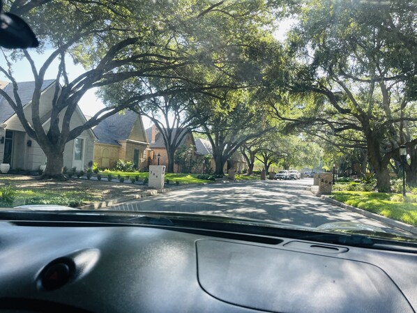 A residential street lined with houses and large trees.