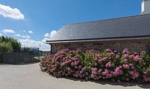 Jardines del alojamiento