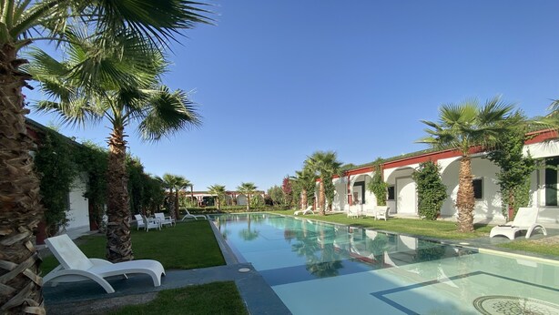 A swimming pool with lounge chairs, surrounded by palm trees and a building with arched windows.