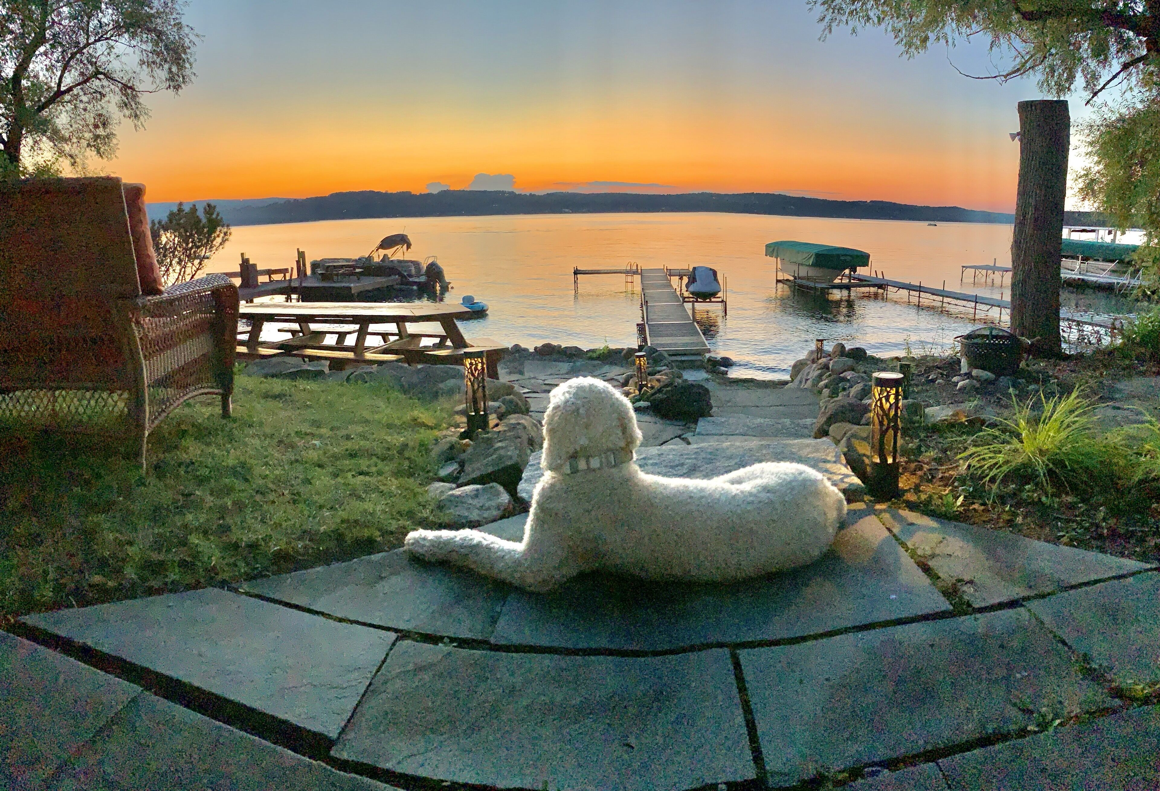 Een hond ontspant op een terras met uitzicht op een zonsondergang boven het water.