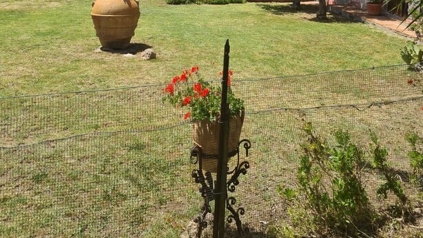 A garden with a large pot, a tall palm tree, and a fence. - Wonderful Villa with garden in Ansedonia (Ansedonia)