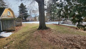 Un grand arbre dans une cour, avec une maison en arrière-plan.