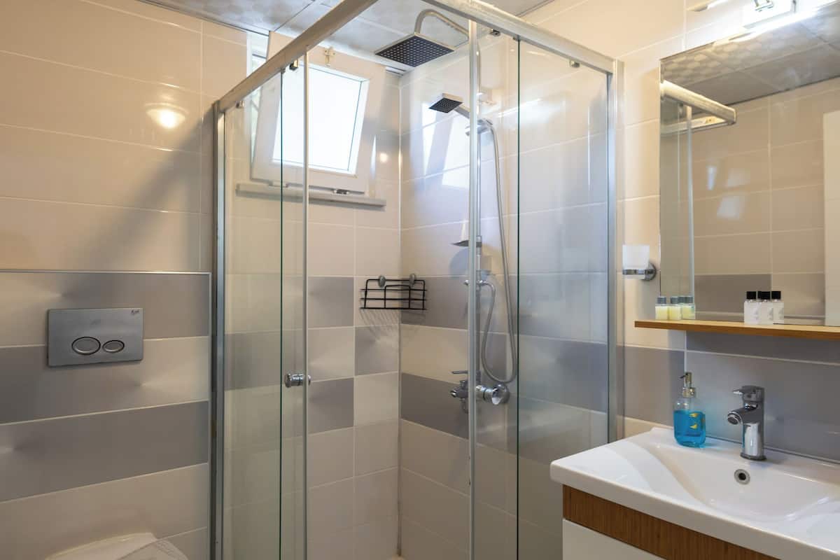 shower, free toiletries, hair dryer, slippers