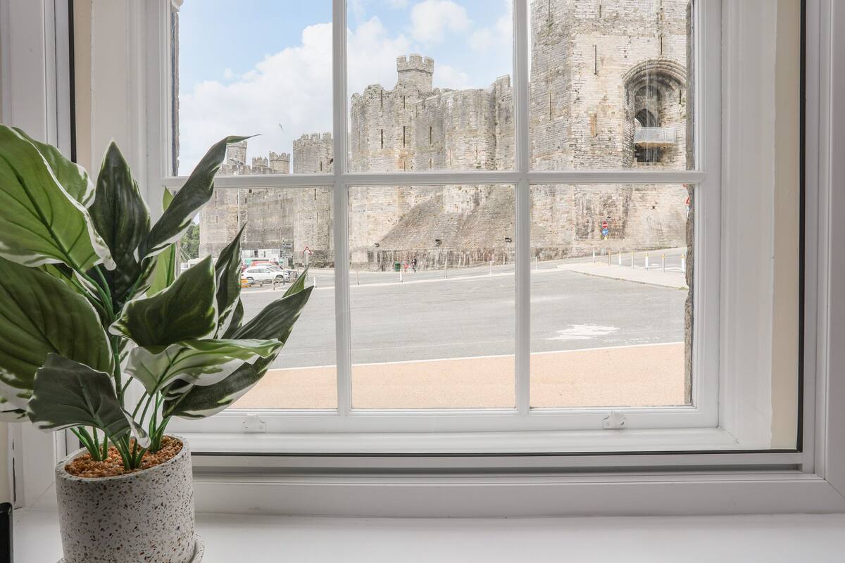 A window with a view of a castle and a road.