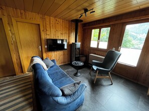 TV, fireplace, DVD player, books