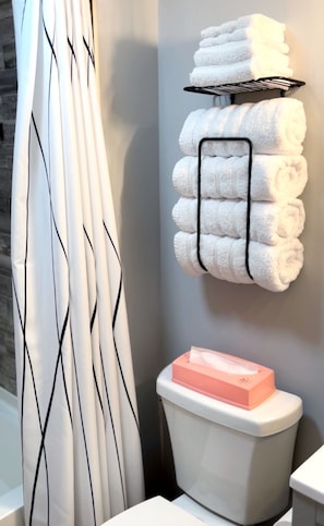 Combined shower/bathtub, hair dryer, towels, soap