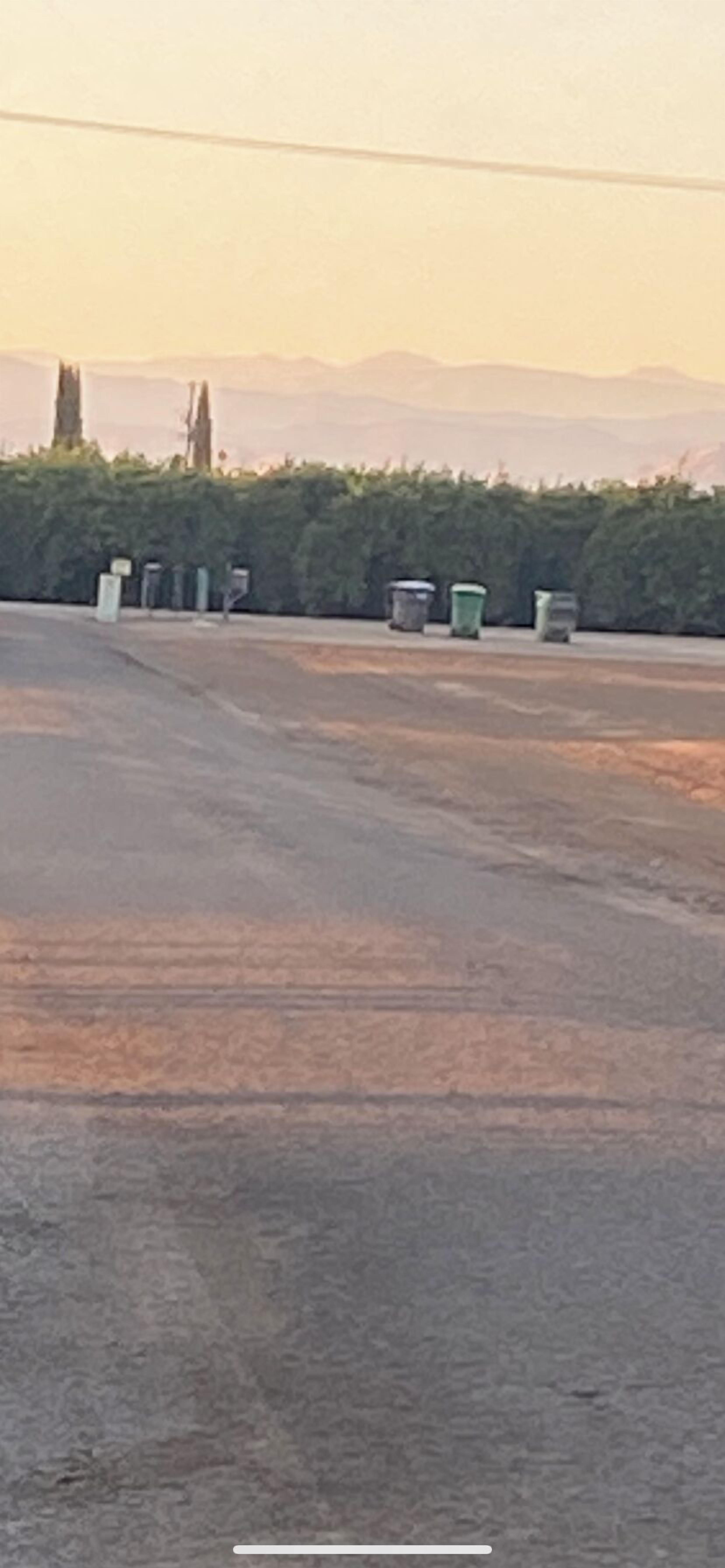 An empty parking lot with a row of trash bins and a hedge in the background.