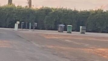 An empty parking lot with a row of trash bins and a hedge in the background.