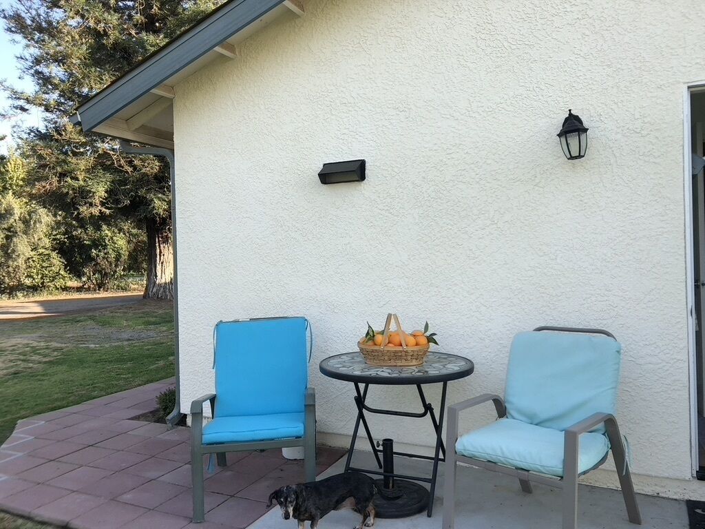 Une terrasse extérieure avec deux chaises bleues, une petite table ronde sur laquelle se trouve un panier rempli d’oranges, et un chien allongé sur le sol.
