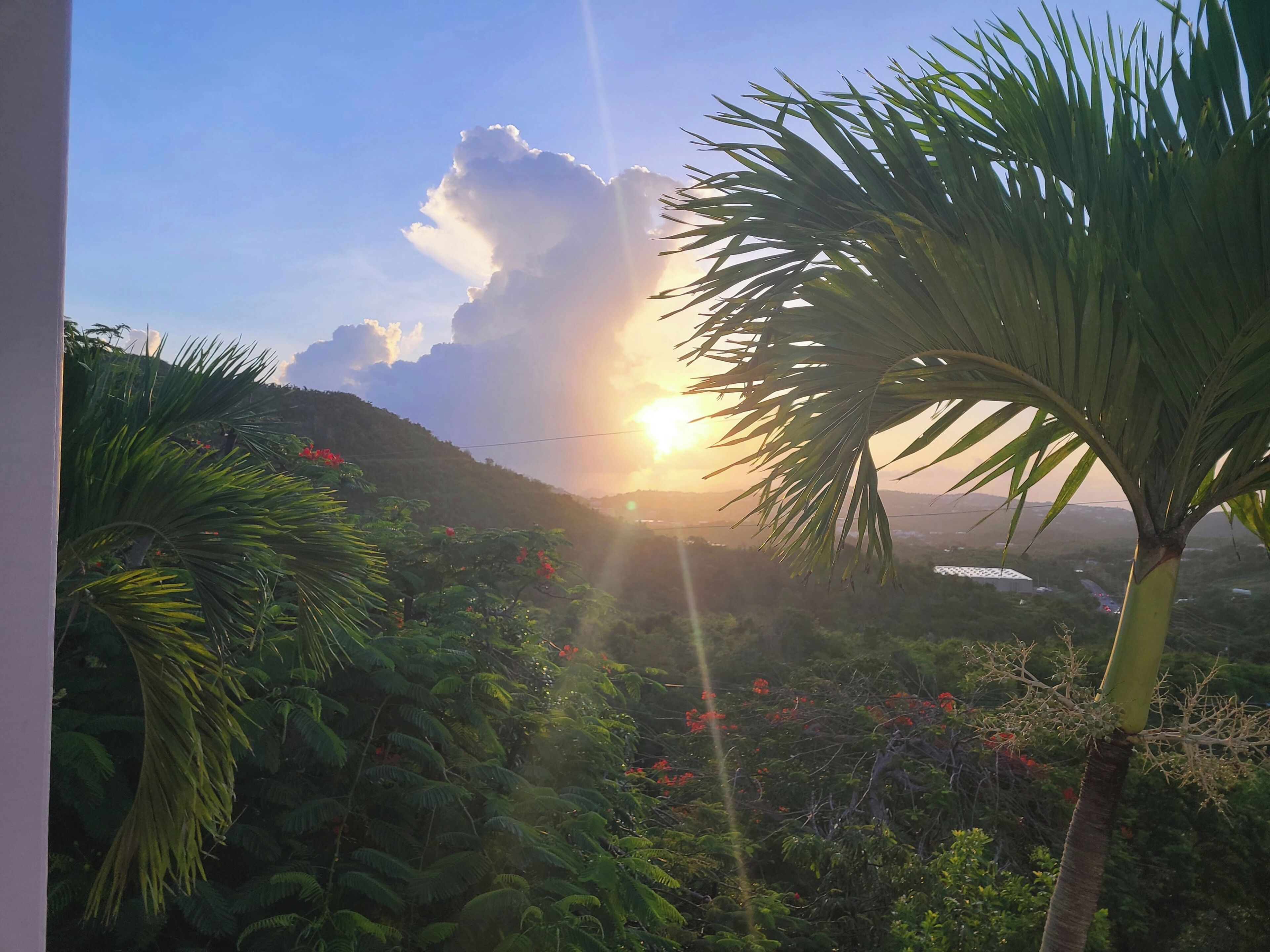 View from property